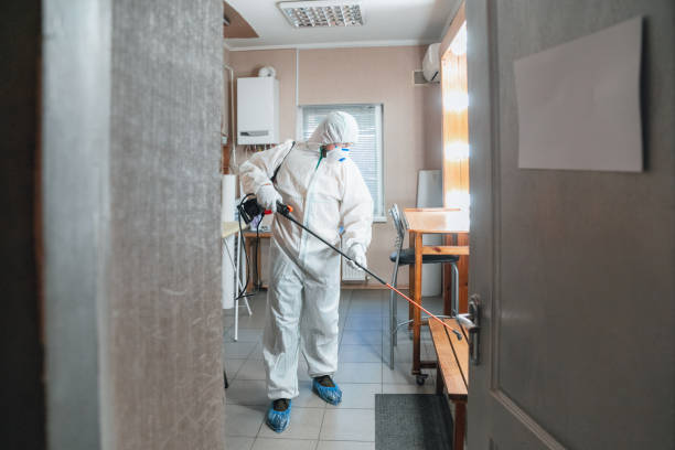 Best Mold Documentation for Insurance Claims  in New Ulm, MN