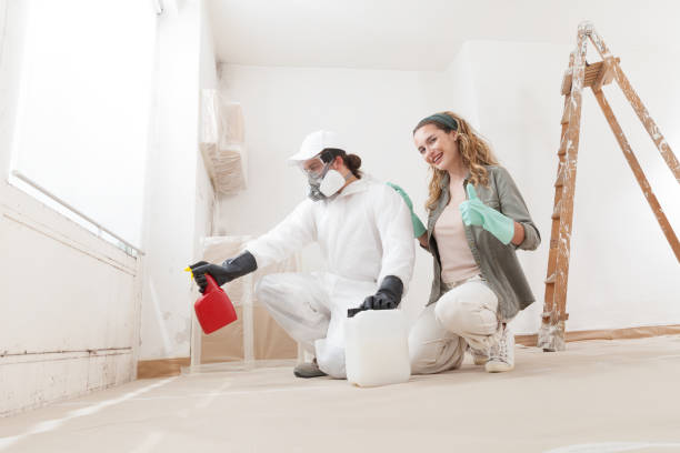 Best Biohazard Mold Removal  in New Ulm, MN